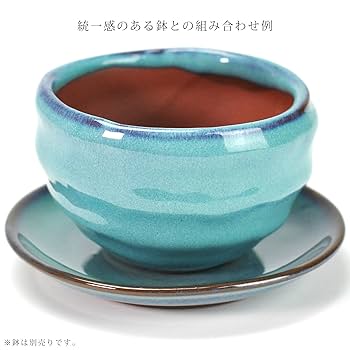 青色 陶器製 盆栽用鉢 22号 imgrc0078709035.jpg